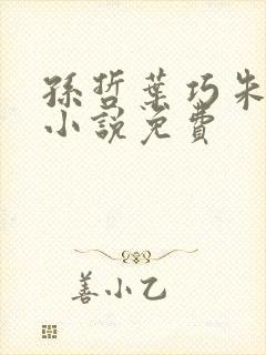 孙哲叶巧朱颜的小说免费封面