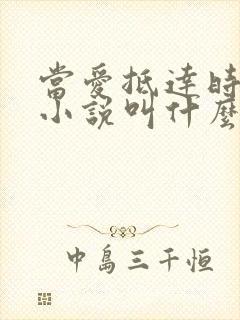当爱抵达时原著小说叫什么