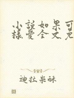小说如果可以这样爱全文免费阅读