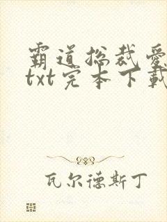 霸道总裁爱上我txt完本下载封面