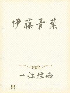 伊藤青叶封面