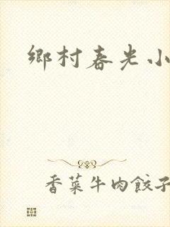 乡村春光小说