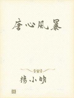 唐心风暴