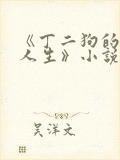 《丁二狗的逍遥人生》小说