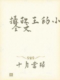摄政王的小闲妻 全文