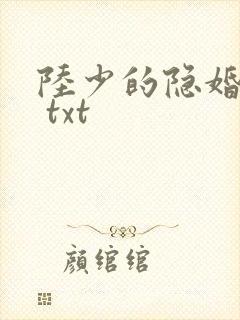 陆少的隐婚罪妻 txt封面