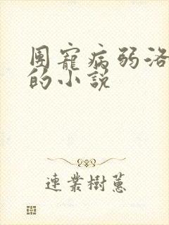 团宠病弱洛小熠的小说封面