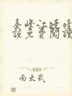 秦峰江晓晴的小说免费阅读封面