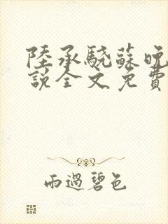 陆承骁苏晚晴小说全文免费阅读最新