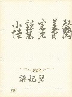 小说完美替身李佳慧免费阅读