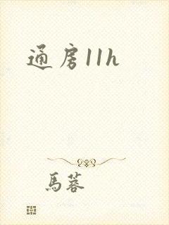 通房11h