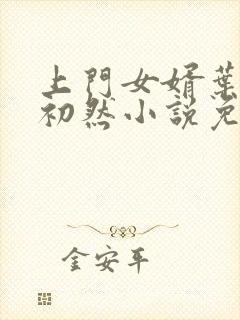 上门女婿叶辰萧初然小说免费读