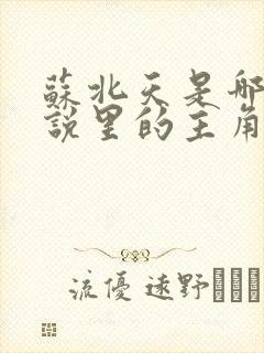 苏北天是哪本小说里的主角封面