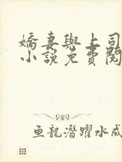 娇妻与上司韩燕小说免费阅读全文