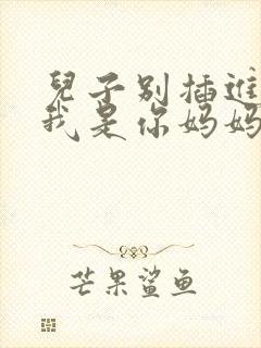 儿子别插进来,我是你妈妈小说