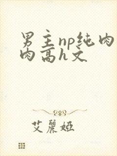 男主np纯肉巨肉高h文