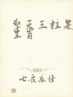 擎天玉柱是什么生肖