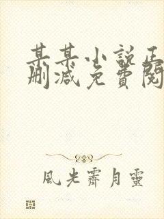 某某小说正版无删减免费阅读全文