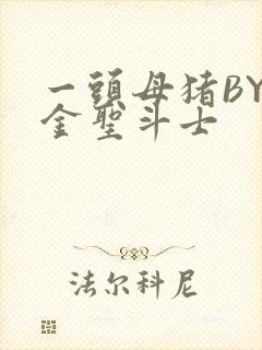 一头母猪BY黄金圣斗士