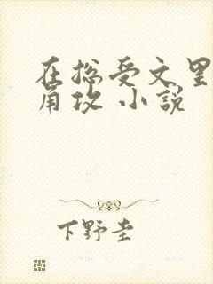 在总受文里抢主角攻 小说
