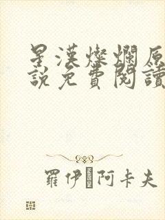 星汉灿烂原著小说免费阅读封面