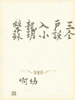 双龙入户三人行苏玥小说全文阅读封面