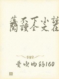 落不下小说免费阅读全文在线阅读