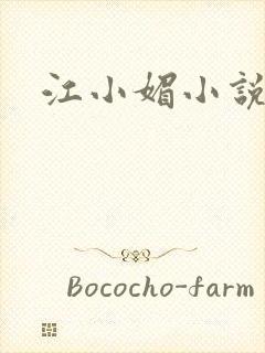 江小媚小说