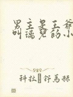 男主是王爷女主叫璃儿的小说
