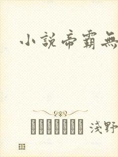 小说帝霸无弹窗封面