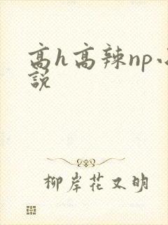 高h高辣np小说封面