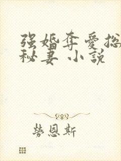 强婚夺爱总裁的秘妻 小说