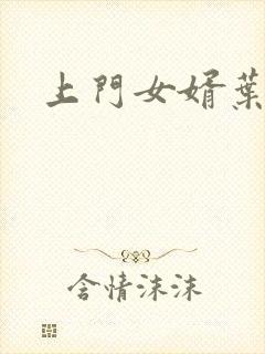 上门女婿叶辰