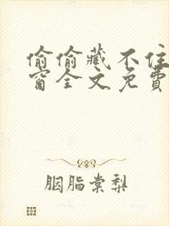 偷偷藏不住无弹窗全文免费阅读封面