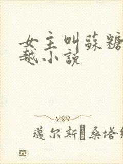 女主叫苏糖的穿越小说封面