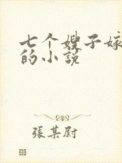 七个嫂子嫁叶凡的小说