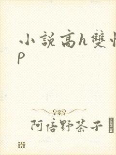 小说高h双性np封面