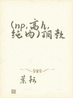 (np,高h,纯肉)调教