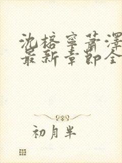 沈榕宁萧泽小说最新章节全文阅读封面