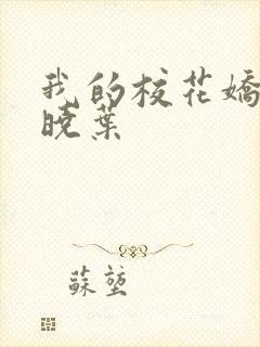 我的校花娇妻秦晓叶封面