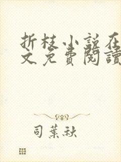 折枝小说在线全文免费阅读无弹窗
