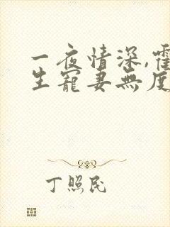 一夜情深,霍先生宠妻无度小说全部章节