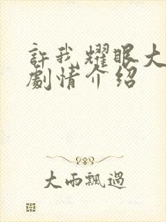 许我耀眼大结局剧情介绍封面