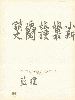 销魂姐姐小说全文阅读最新章节列表