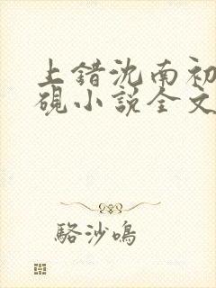 上错沈南初陆时砚小说全文免费阅读封面
