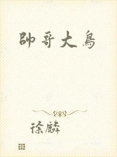 帅哥大鸟