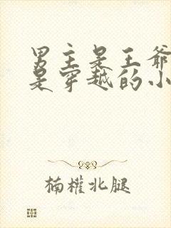 男主是王爷女主是穿越的小说