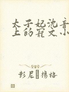 太子妃沈音和皇上的宠文小说