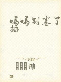 呜呜别塞了啊抽插