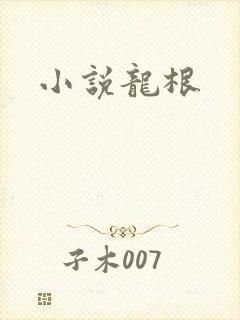小说龙根